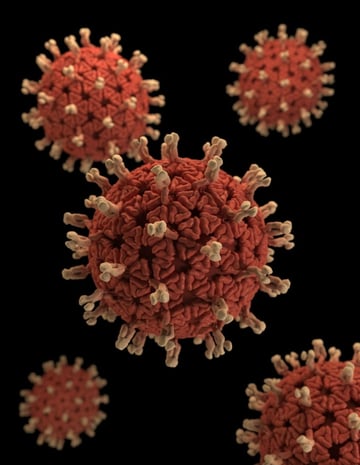 Thoughts and Curations on the COVID-19 Pandemic 
