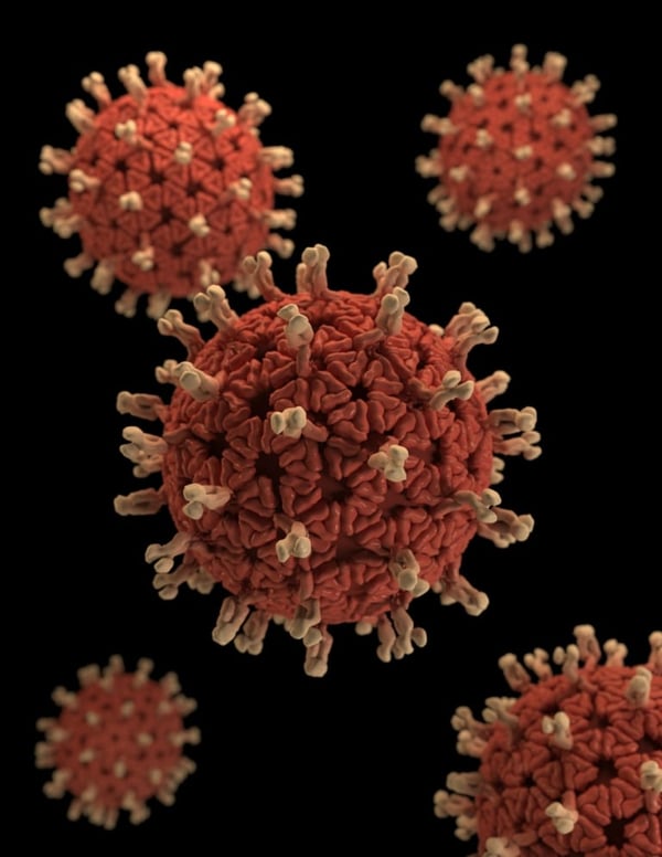 Thoughts and Curations on the COVID-19 Pandemic 